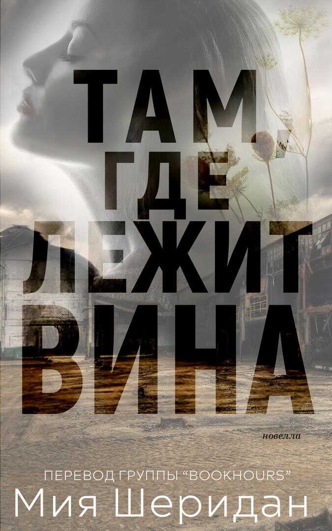 Обложка книги Там, где лежит вина