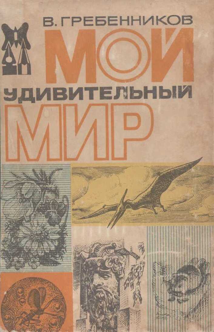 Обложка книги Мой удивительный мир