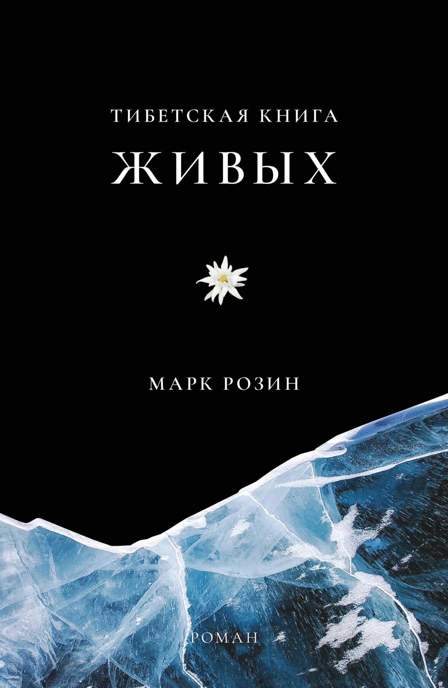 Обложка книги Тибетская книга живых