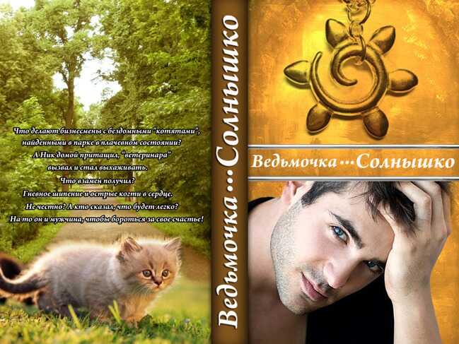 Обложка книги Солнышко