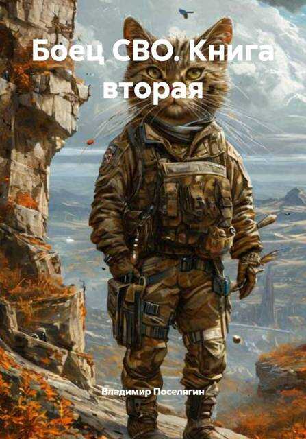 Обложка книги Боец СВО. Книга вторая