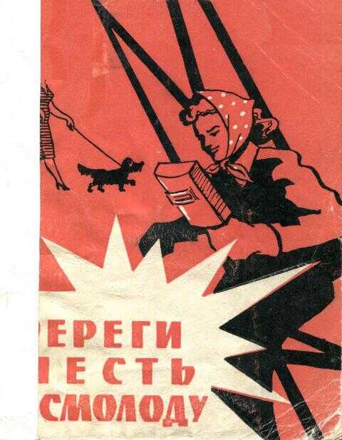 Обложка книги Береги честь смолоду