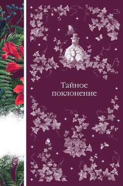 Обложка книги Тайное поклонение