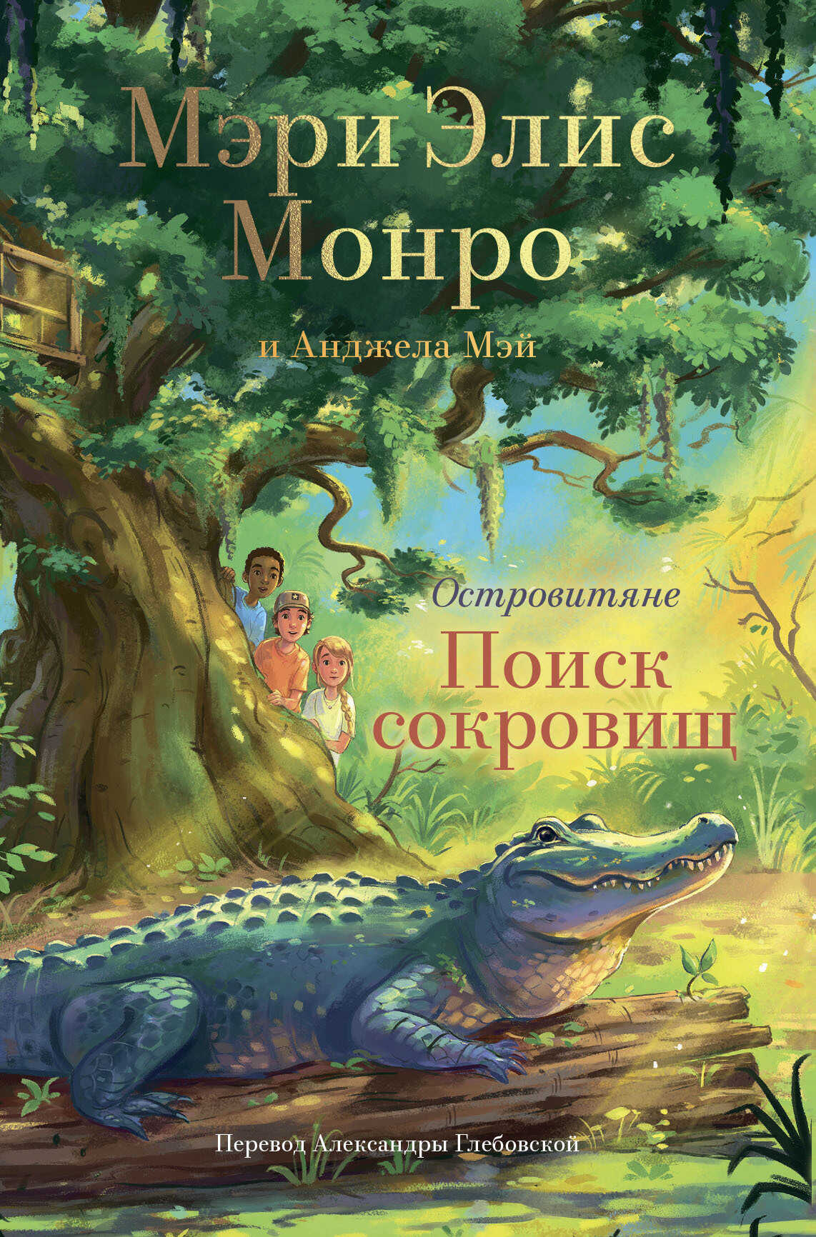 Обложка книги Поиск сокровищ