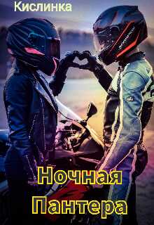 Обложка книги Ночная Пантера