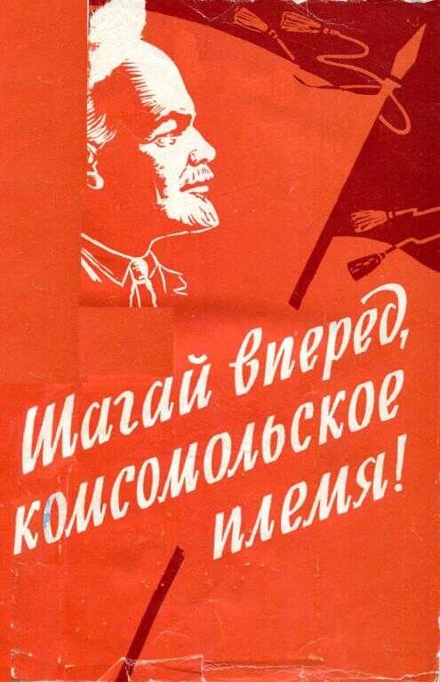Обложка книги Шагай вперед, комсомольское племя!