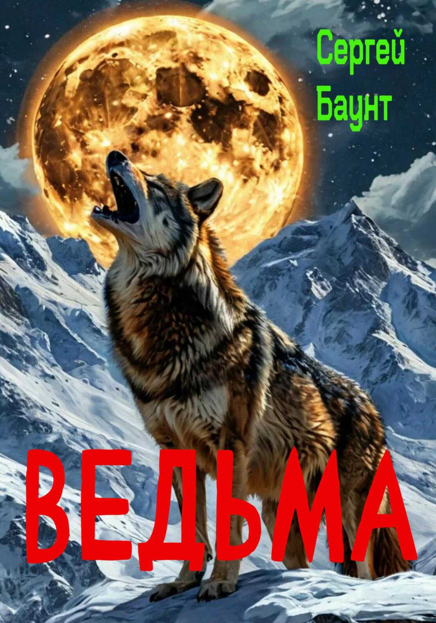Обложка книги Ведьма