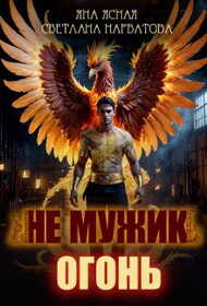 Обложка книги Не мужик - огонь!