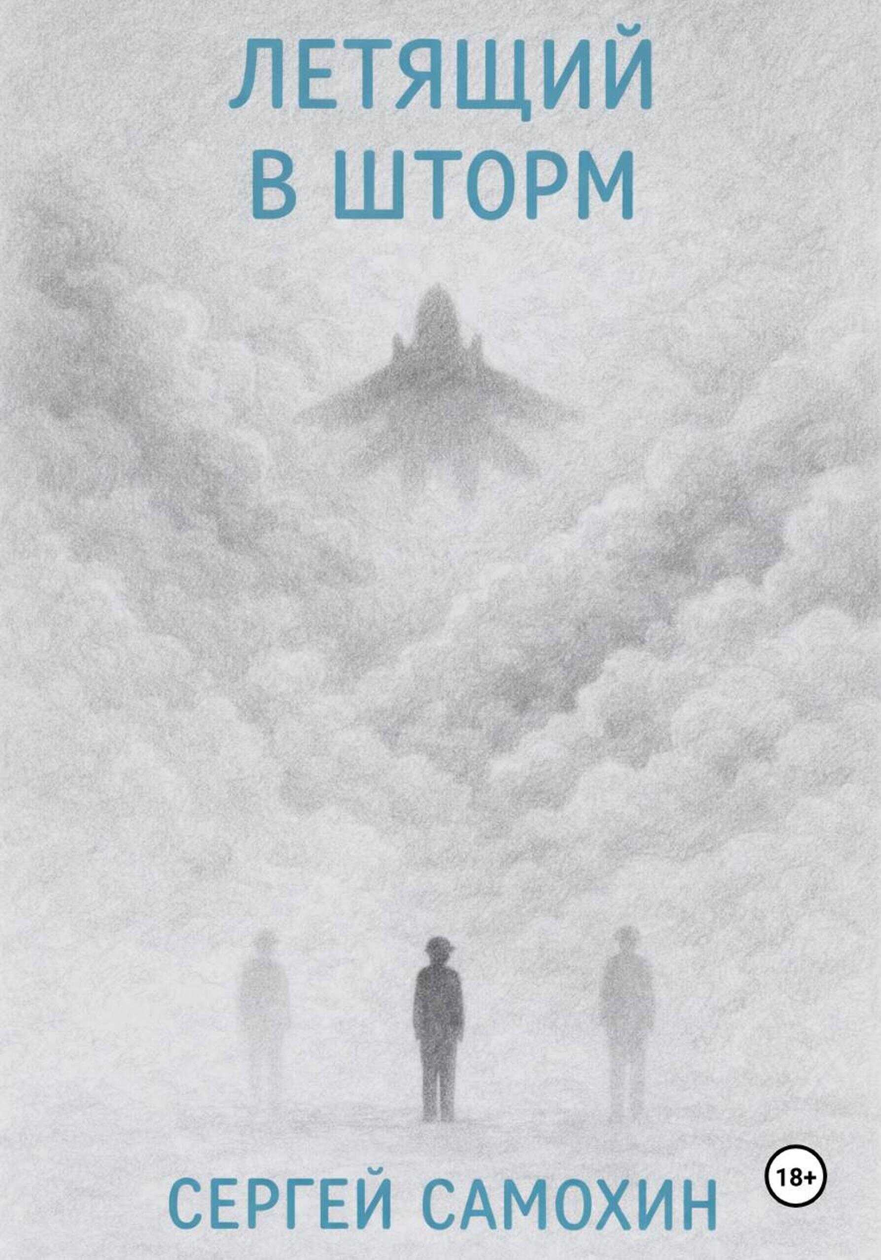 Обложка книги Летящий в шторм