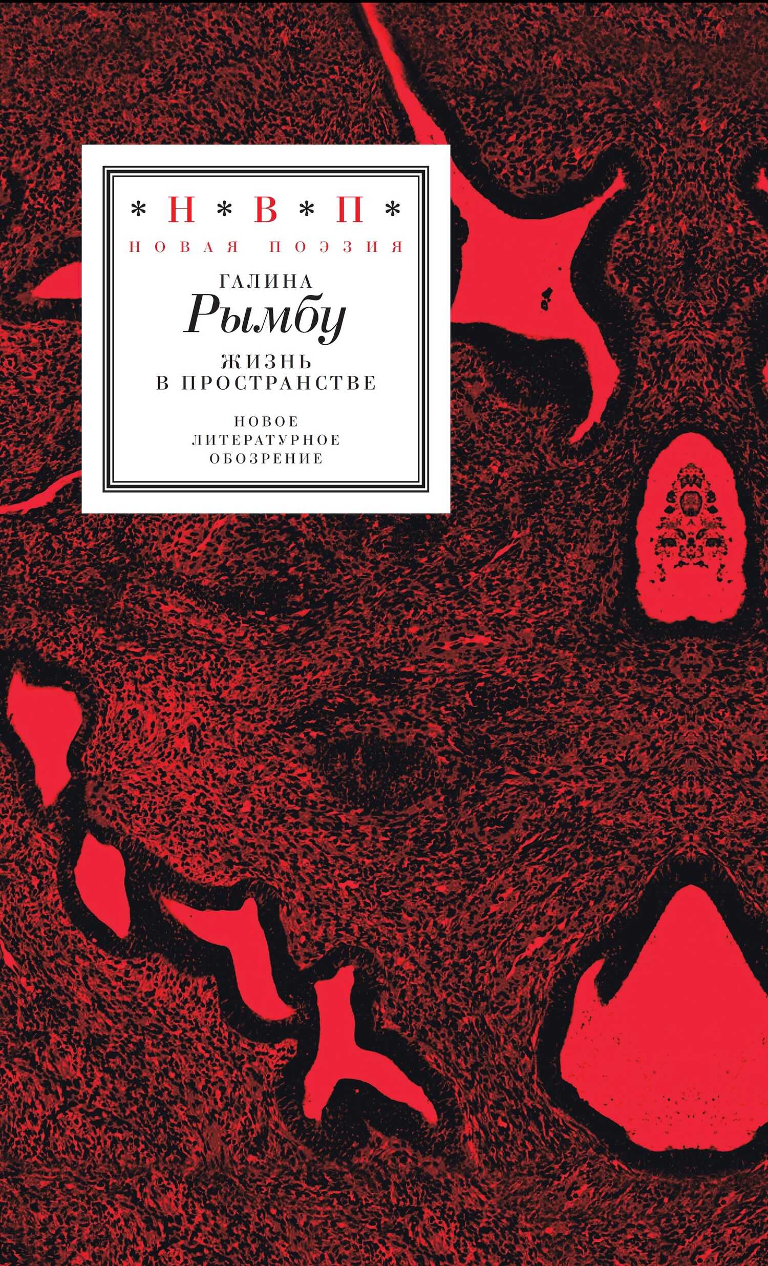 Обложка книги Жизнь в пространстве