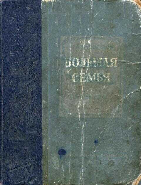 Обложка книги Большая семья