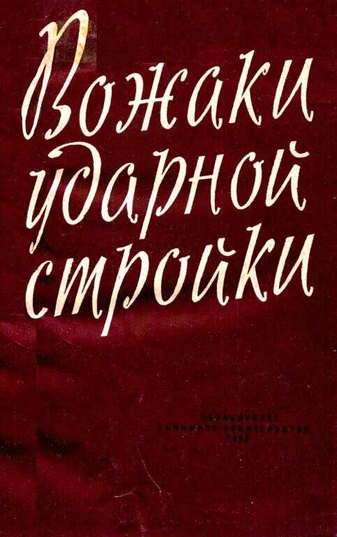 Обложка книги Вожаки ударной стройки
