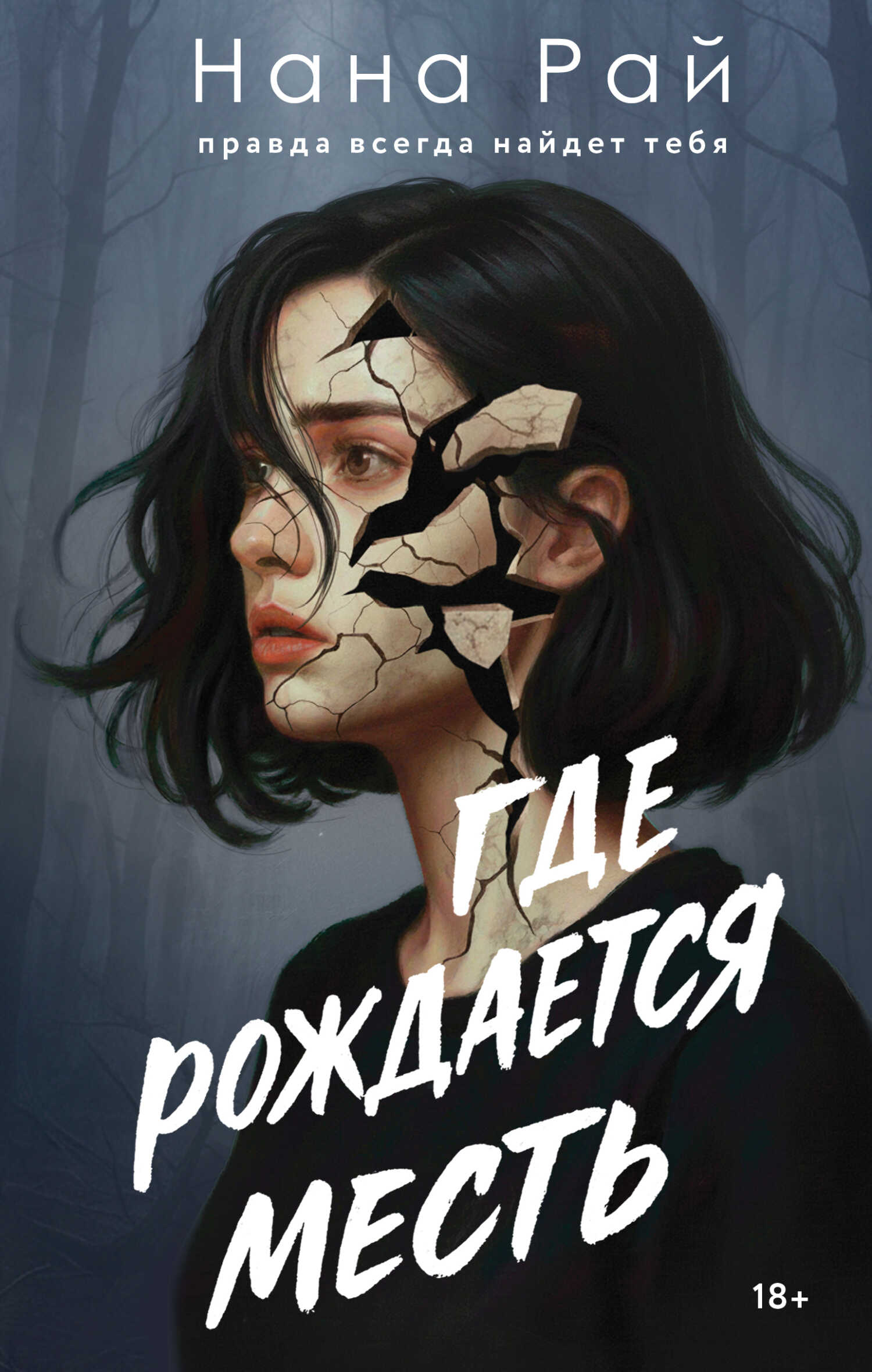 Обложка книги Где рождается месть