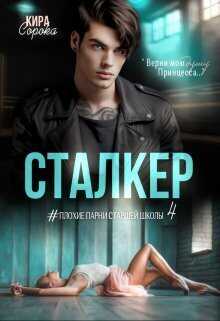 Обложка книги Сталкер