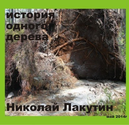 Обложка книги История одного дерева
