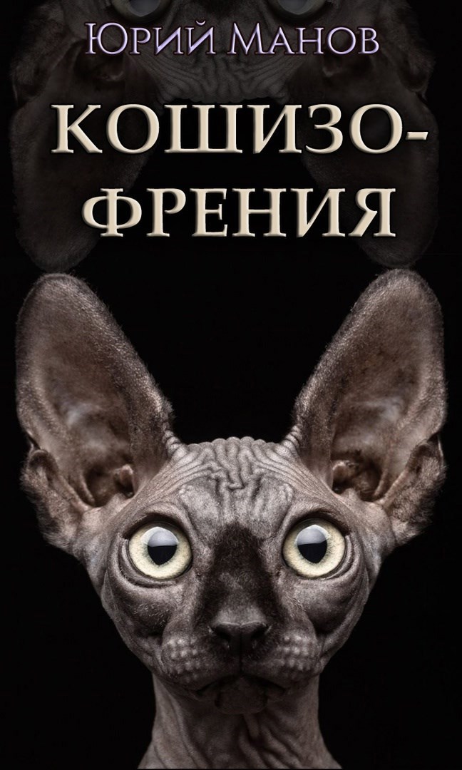 Обложка книги Кошизофрения. Тарантины сон кошмарный