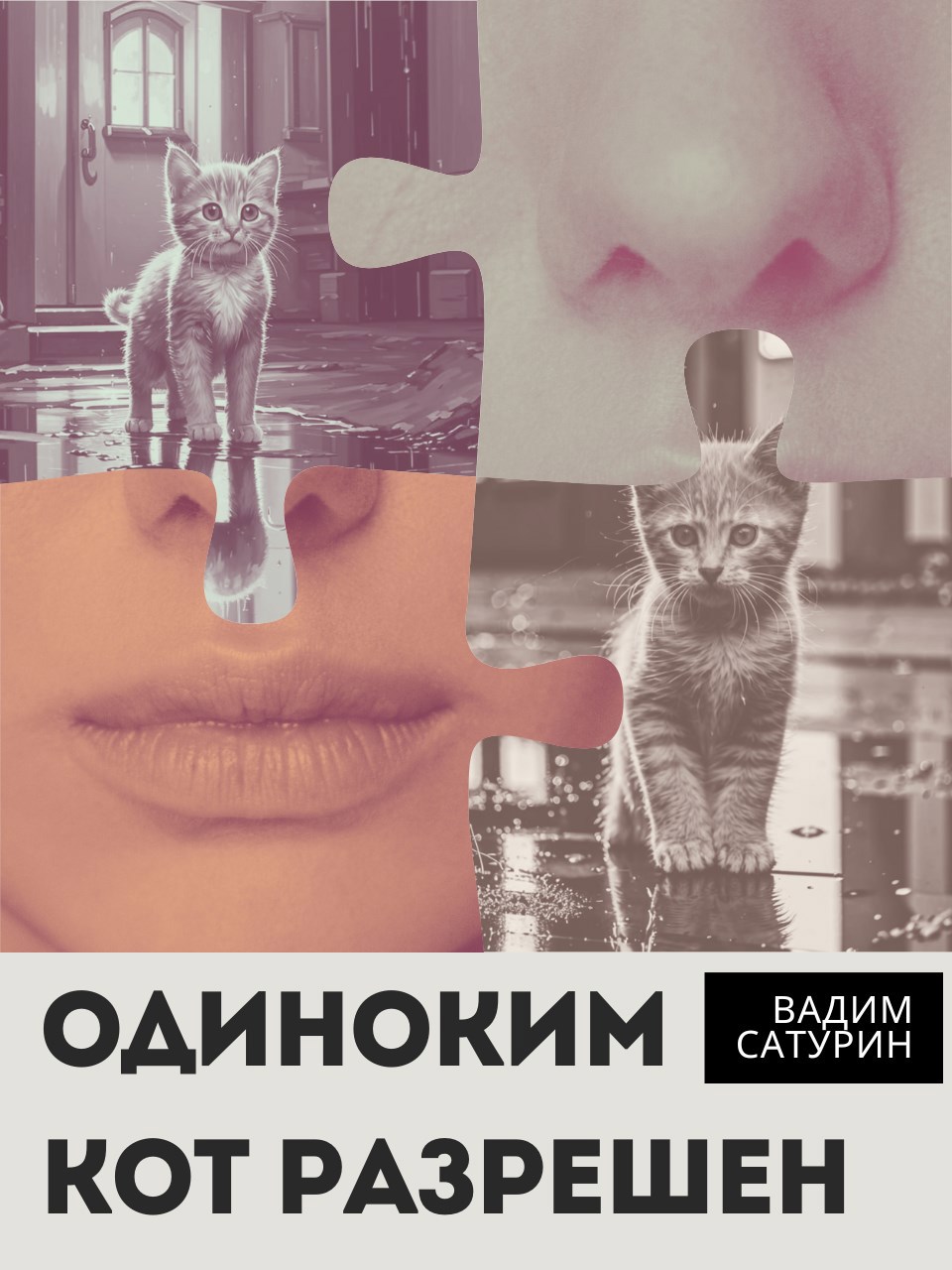 Обложка книги Одиноким кот разрешен