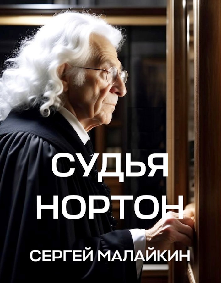 Обложка книги Судья Нортон