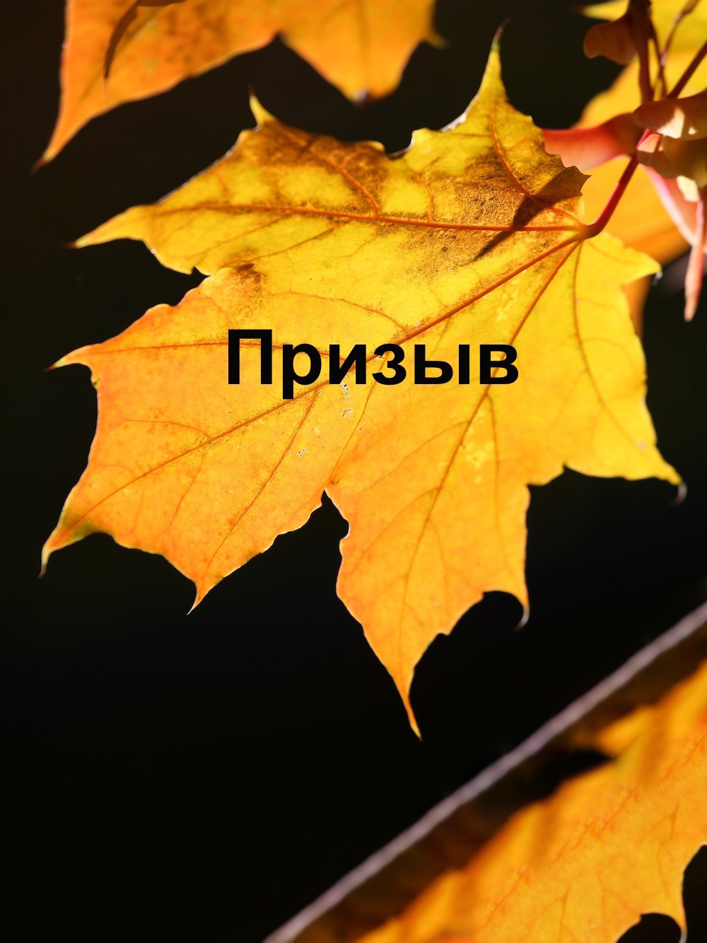 Обложка книги Призыв