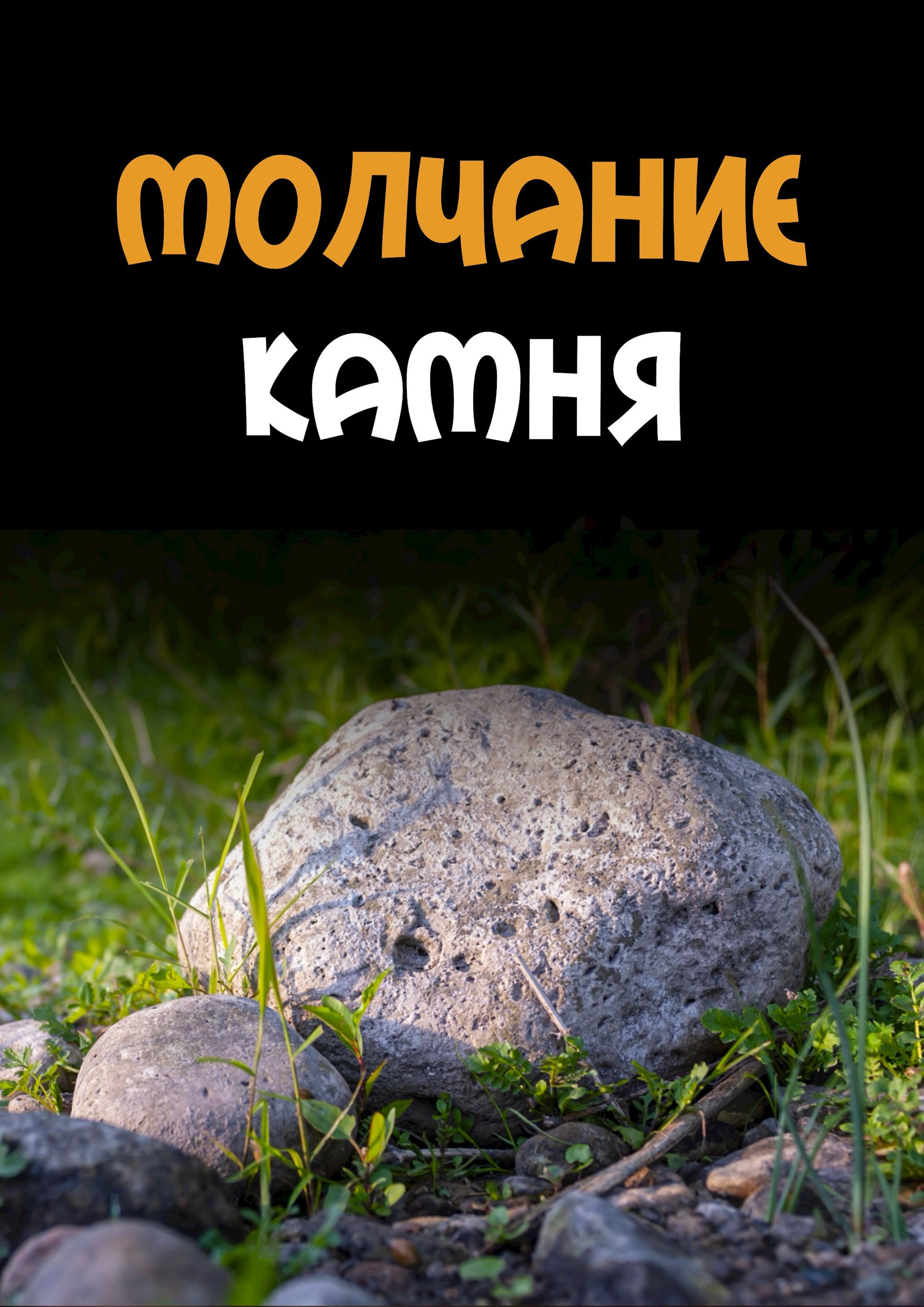 Обложка книги Молчание камня