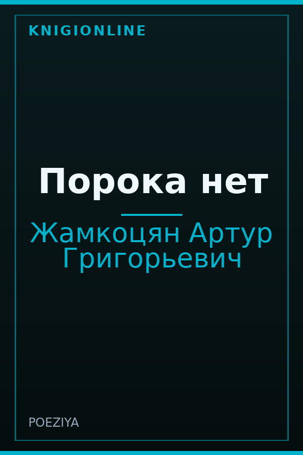 Обложка книги Порока нет