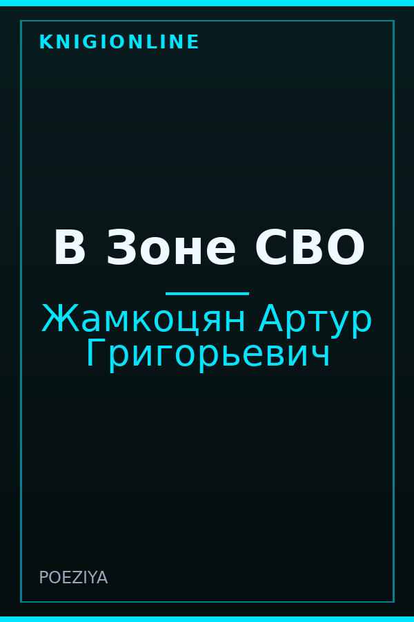 Обложка книги В Зоне СВО
