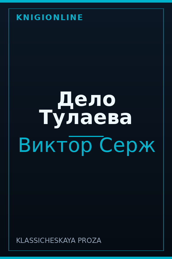 Обложка книги Дело Тулаева