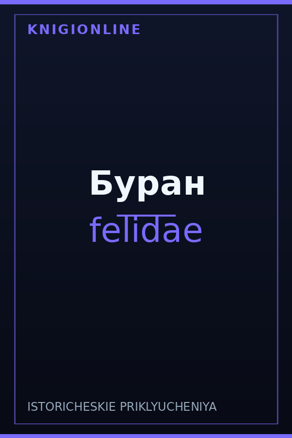 Обложка книги Буран