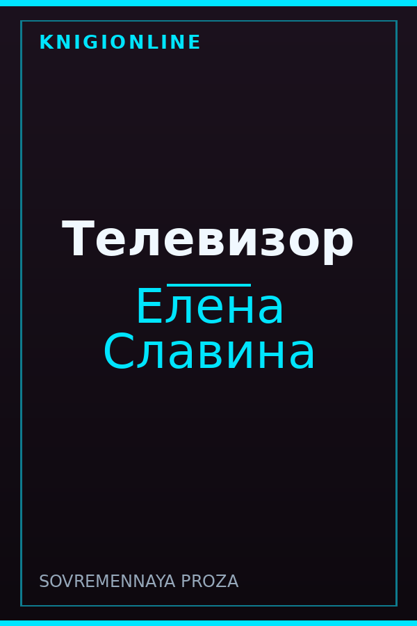 Обложка книги Телевизор