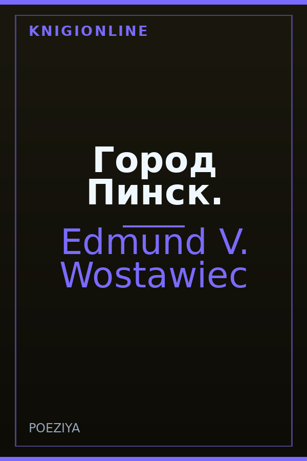 Обложка книги Город Пинск.