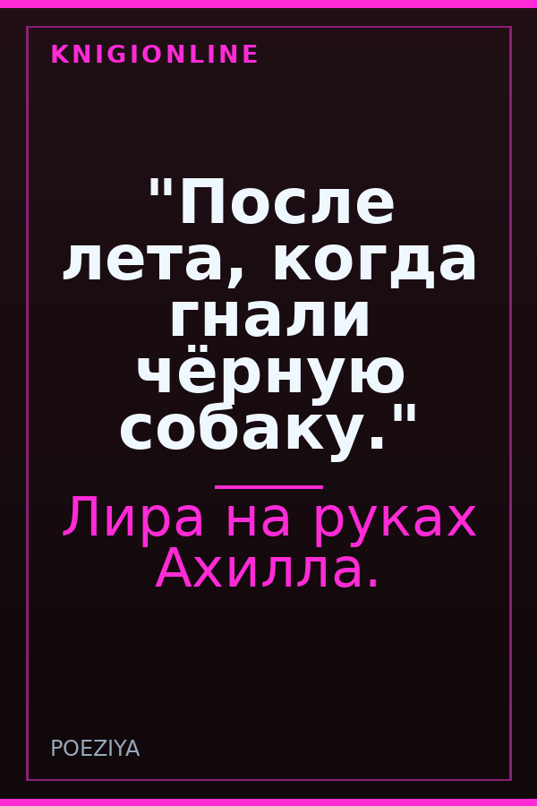 Обложка книги "После лета, когда гнали чёрную собаку."