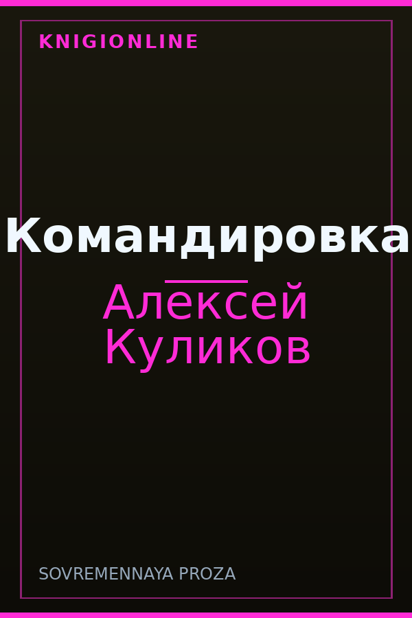 Обложка книги Командировка