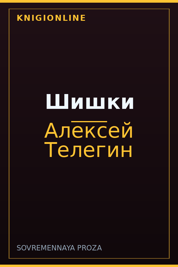 Обложка книги Шишки