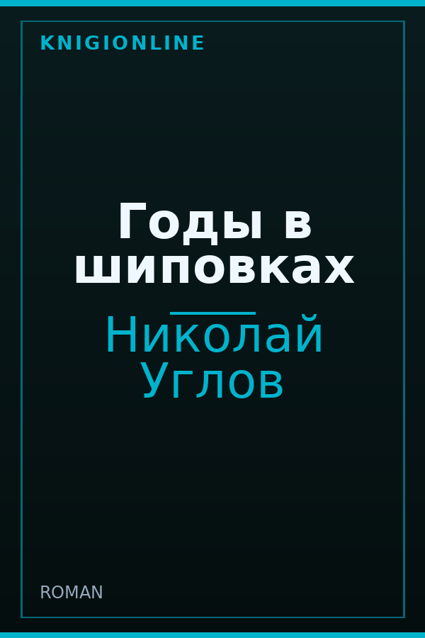 Обложка книги Годы в шиповках
