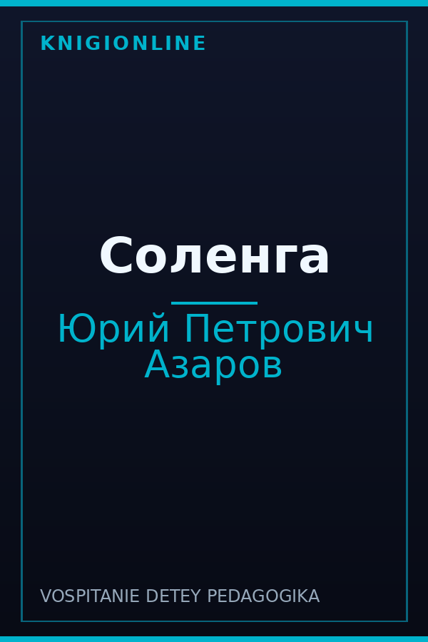 Обложка книги Соленга