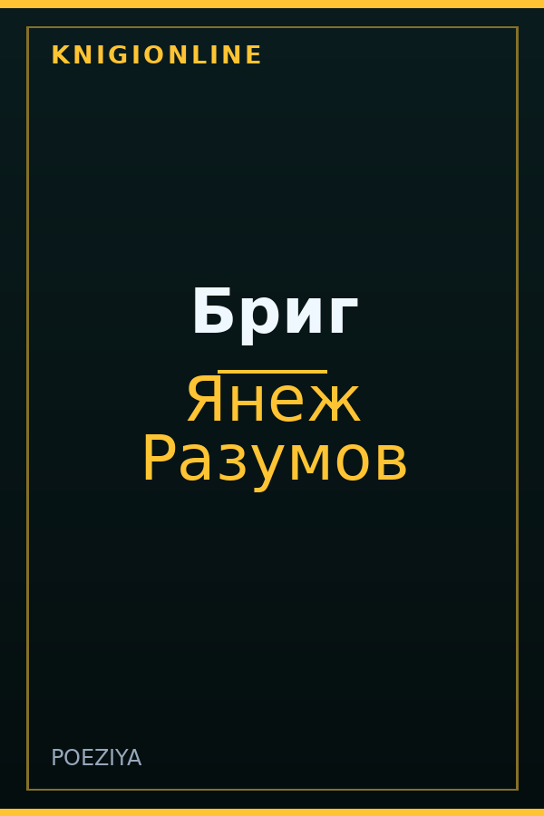 Обложка книги Бриг