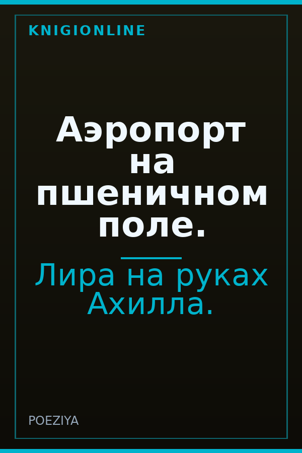 Обложка книги Аэропорт на пшеничном поле.