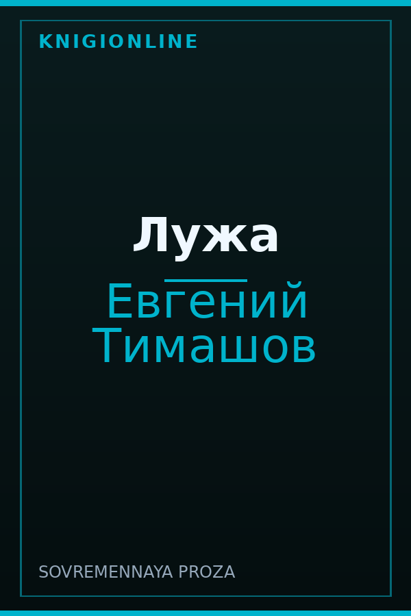 Обложка книги Лужа