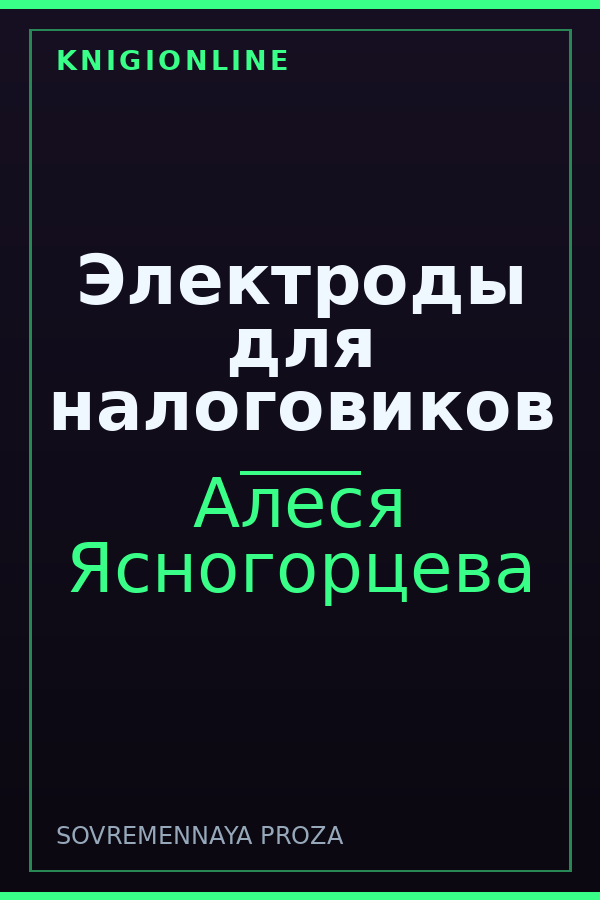 Обложка книги Электроды для налоговиков