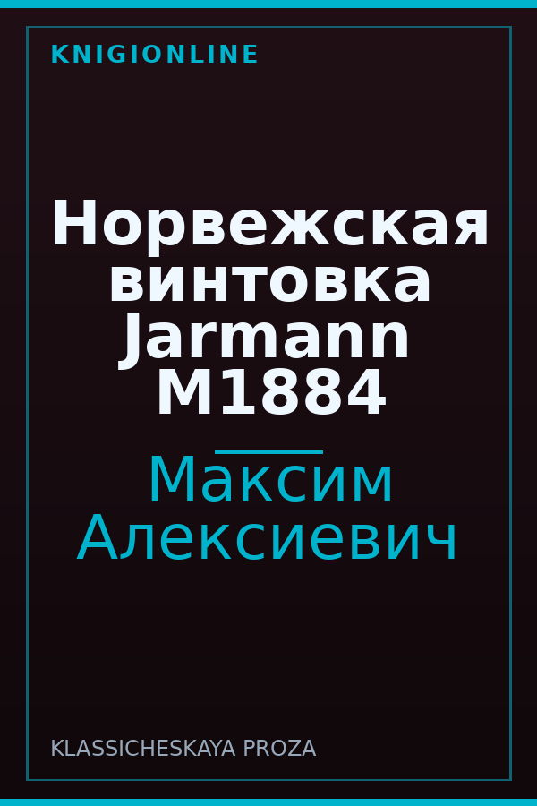 Обложка книги Норвежская винтовка Jarmann M1884