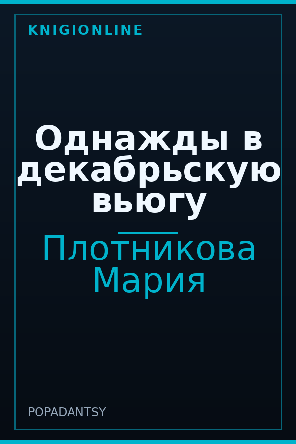 Обложка книги Однажды в декабрьскую вьюгу
