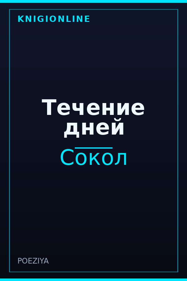 Обложка книги Течение дней