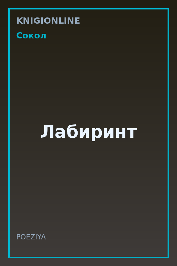 Обложка книги Лабиринт