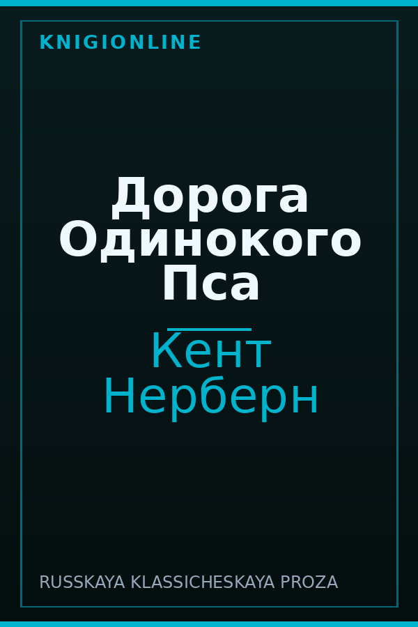 Обложка книги Дорога Одинокого Пса