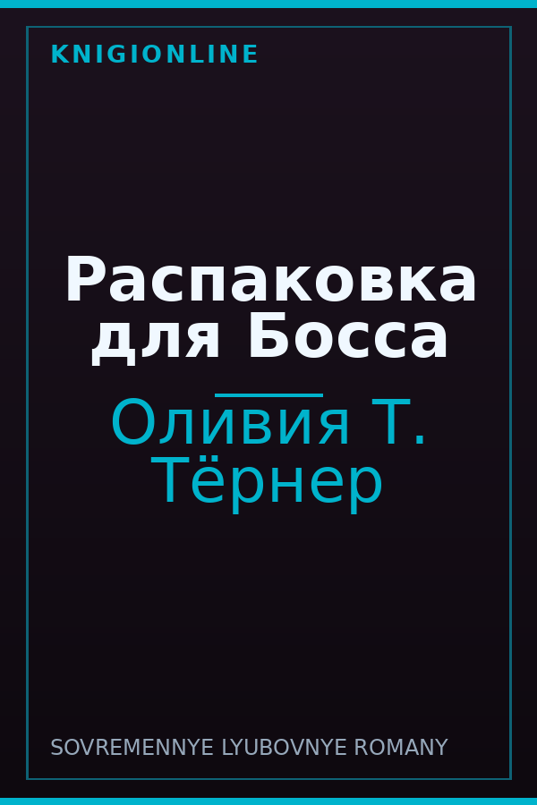 Обложка книги Распаковка для Босса