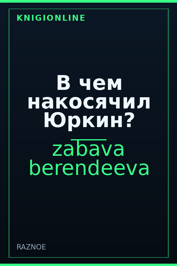 Обложка книги В чем накосячил Юркин?