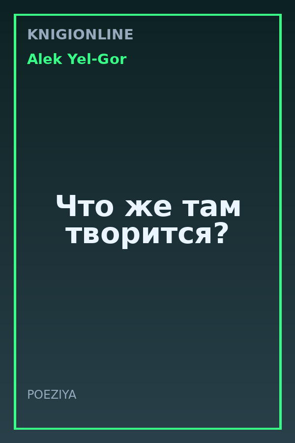 Обложка книги Что же там творится?