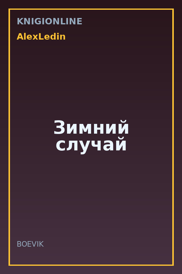 Обложка книги Зимний случай