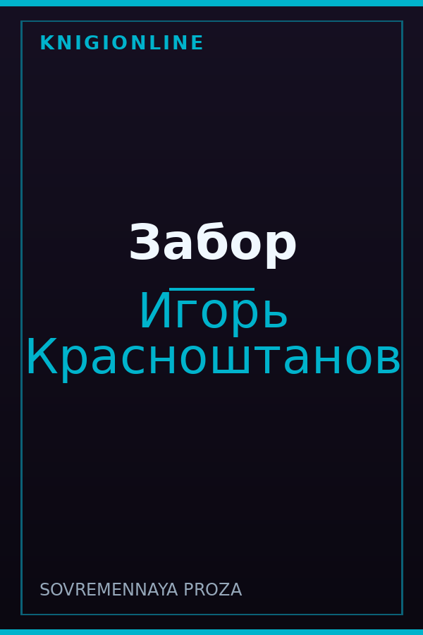 Обложка книги Забор