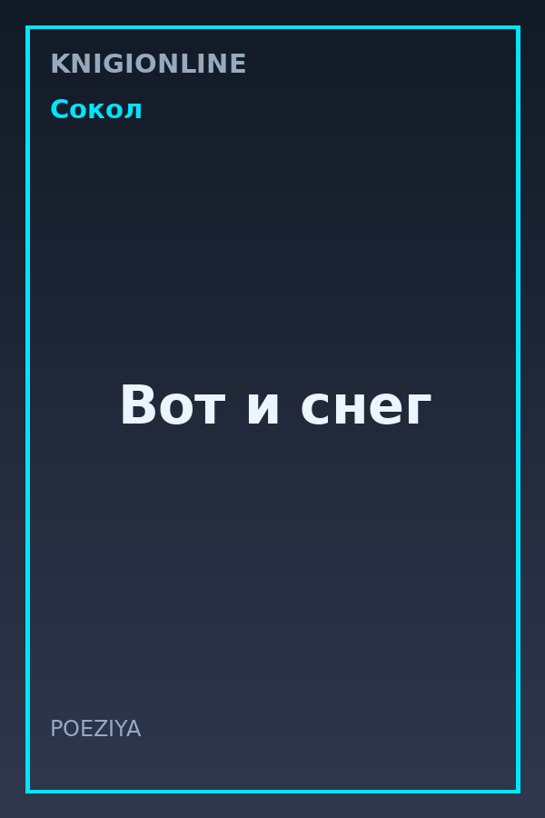 Обложка книги Вот и снег